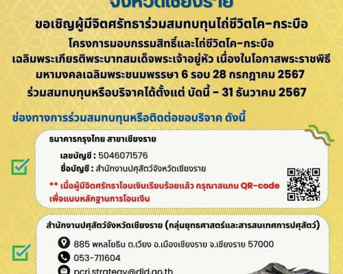 โครงการไถ่ชีวิตโค-กระบือ ปี 2567