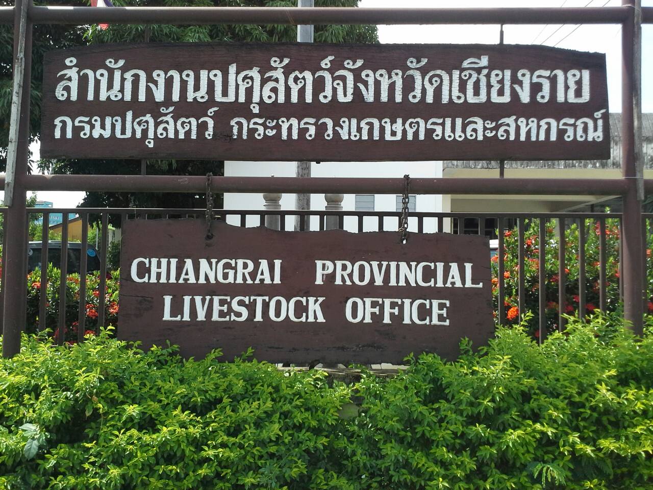 chiangrai